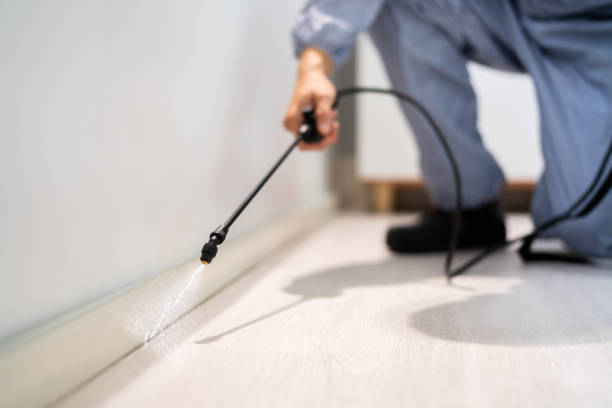 Certified termite inspector examining foundation in Ashland