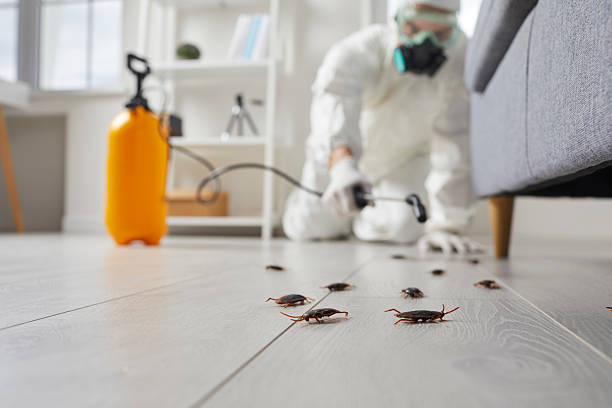 Commercial Kitchen Cockroach Control in Ashland